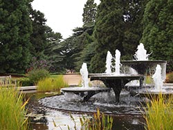 Cambridge Botanical Gardens