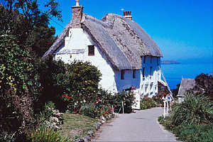Cottage at Church Cove