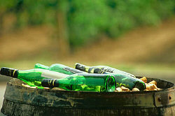 wine bottles in vineyard