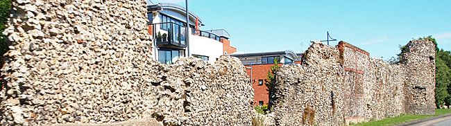 Norwich Town Walls